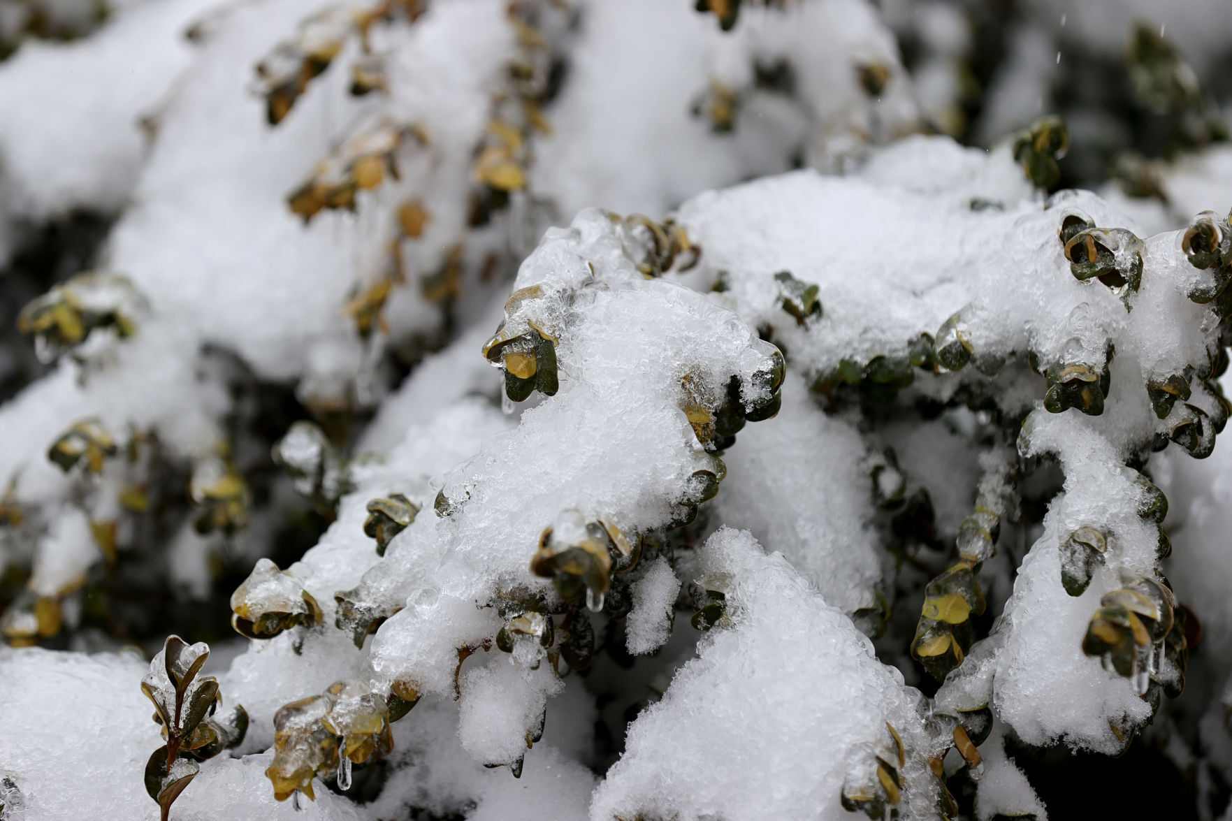 ice storm